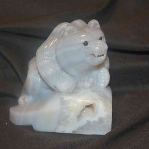 Orso Calcedonio