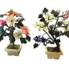 Piante bonsai Pietre dure