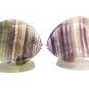 PESCI FLUORITE