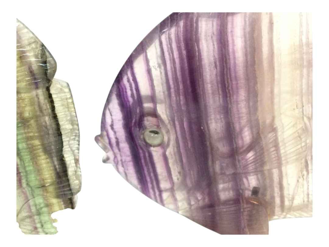 PESCI FLUORITE - immagine 5