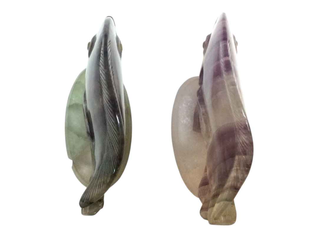 PESCI FLUORITE - immagine 3
