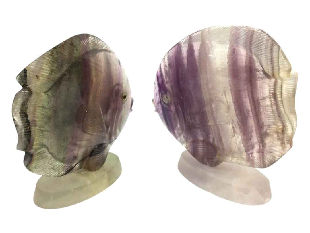 PESCI FLUORITE - immagine 12