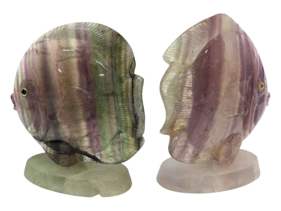 PESCI FLUORITE - immagine 11