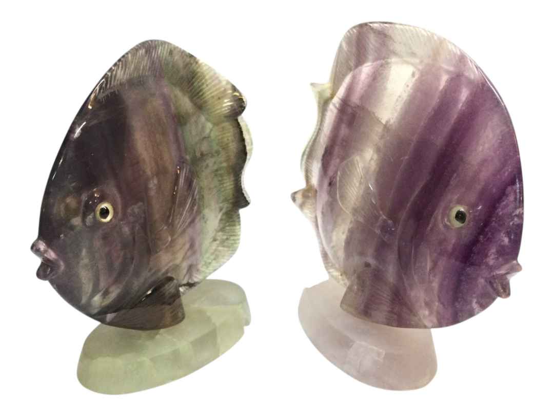 PESCI FLUORITE - immagine 10