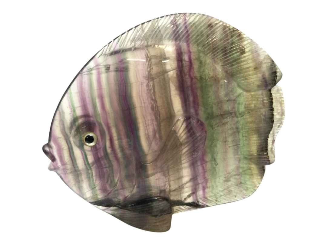 PESCI FLUORITE - immagine 9