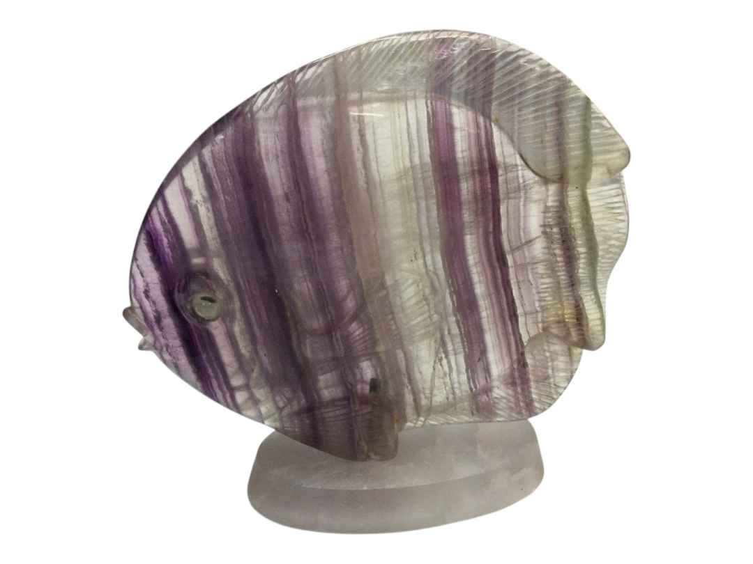 PESCI FLUORITE - immagine 8