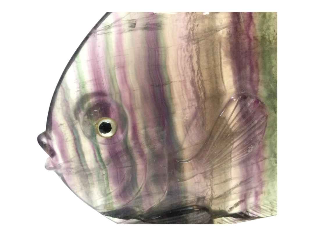 PESCI FLUORITE - immagine 7