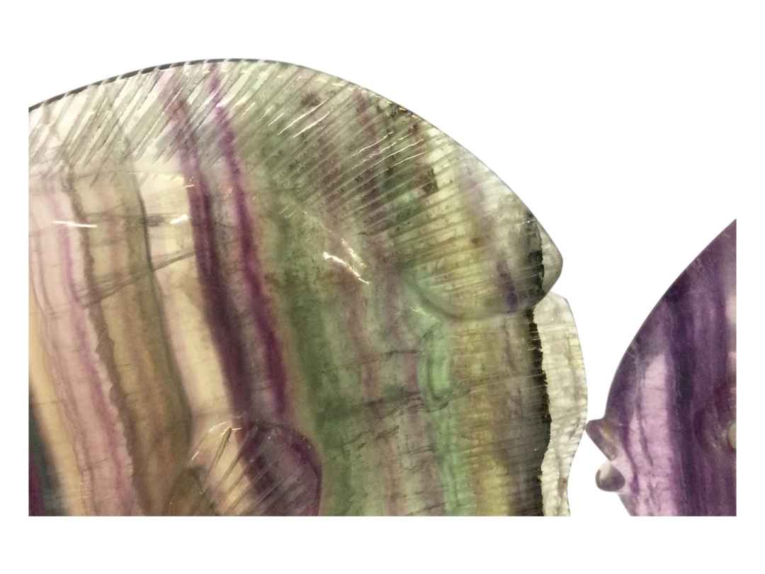 PESCI FLUORITE - immagine 6