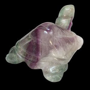 Tartaruga Fluorite arcobaleno