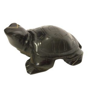 Tartaruga Diaspro nero