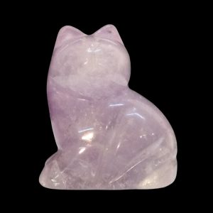 Gatto Ametista