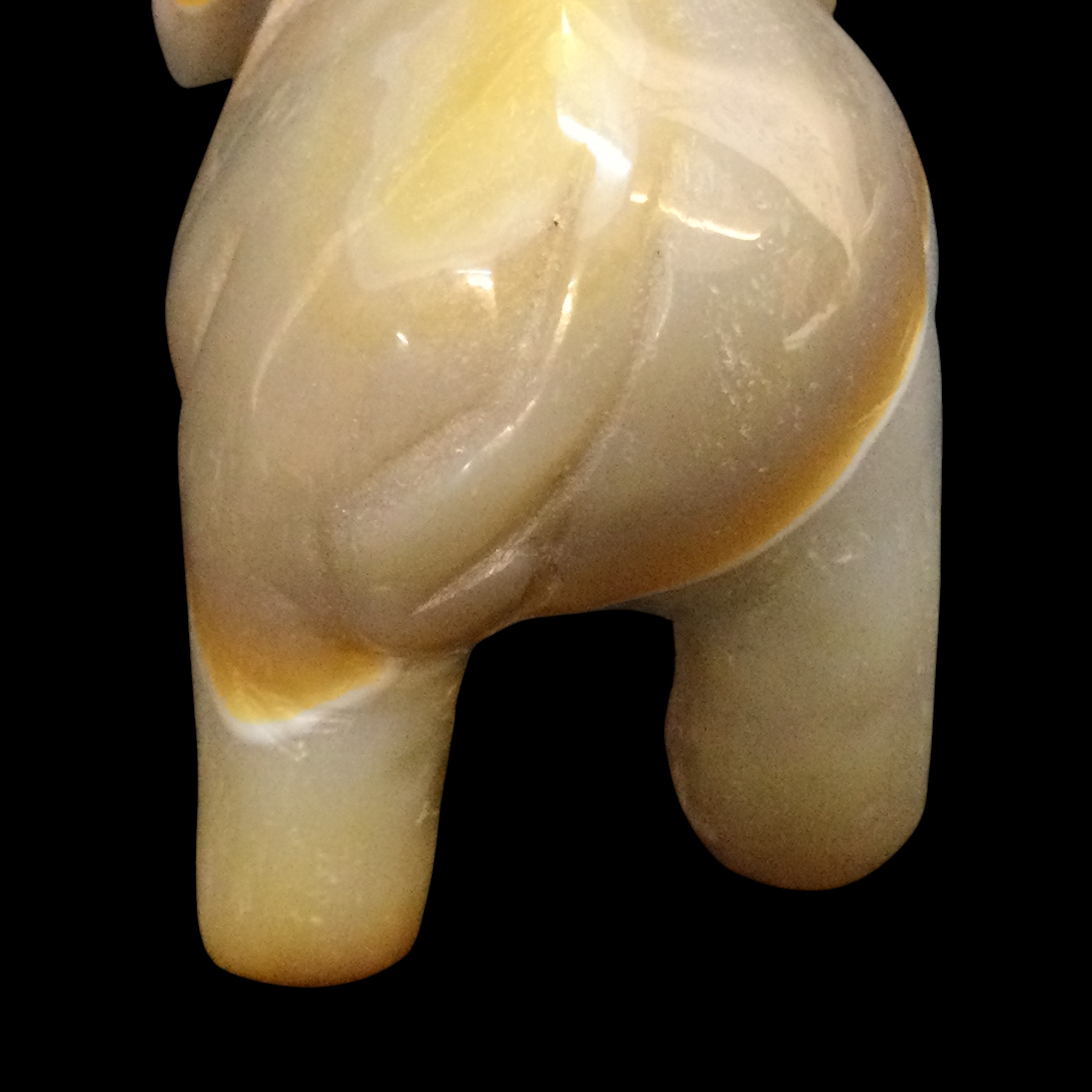 Elefante Agata - immagine 11