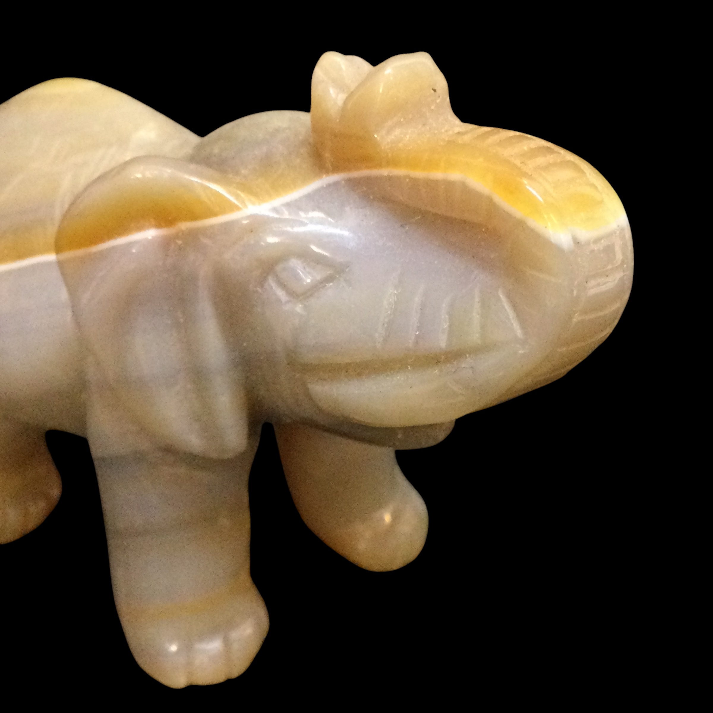 Elefante Agata - immagine 9