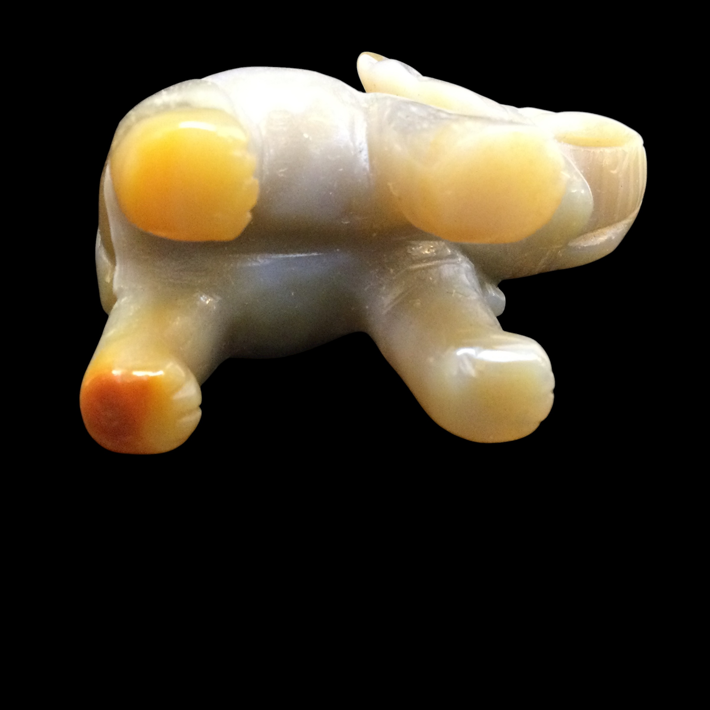 Elefante Agata - immagine 7