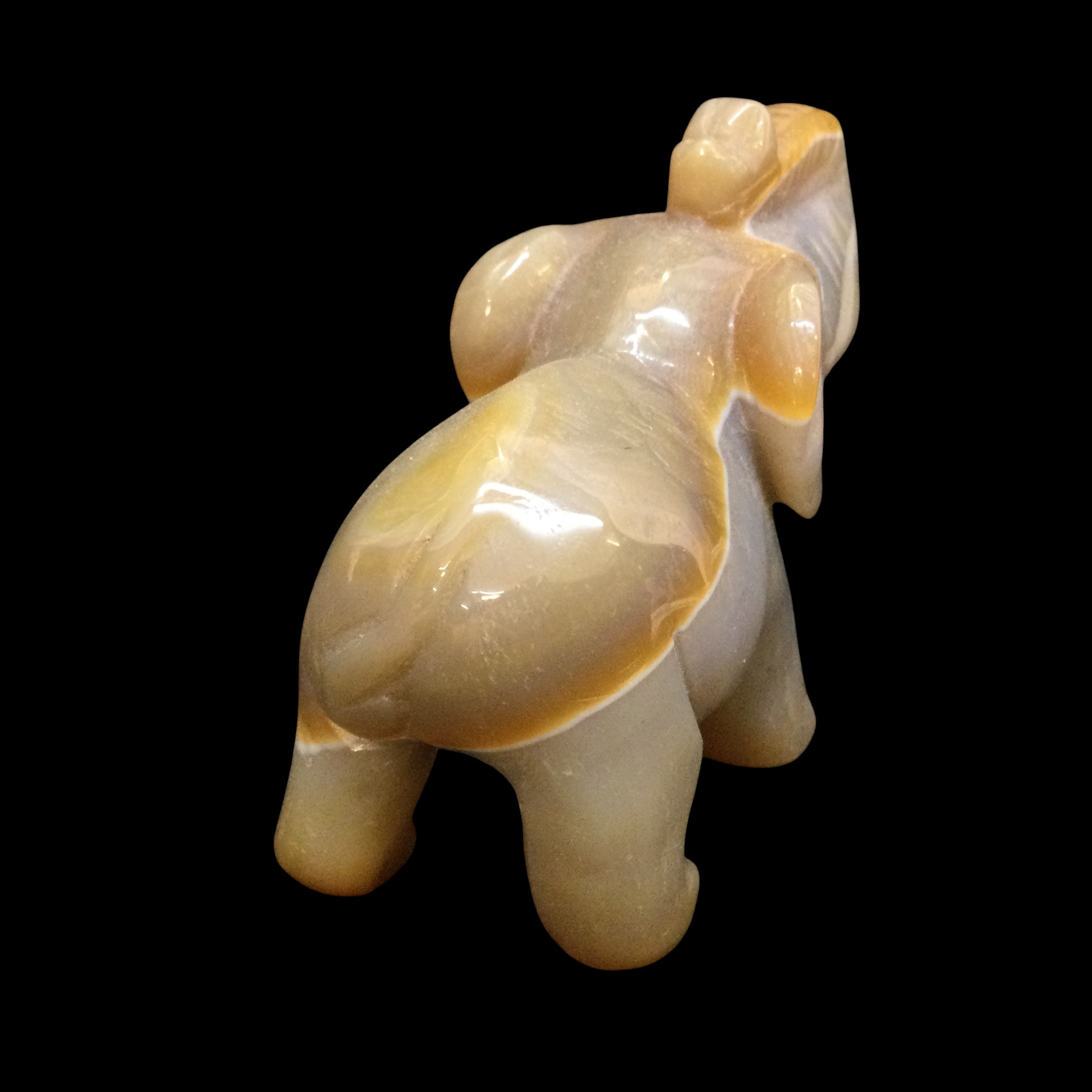 Elefante Agata - immagine 6
