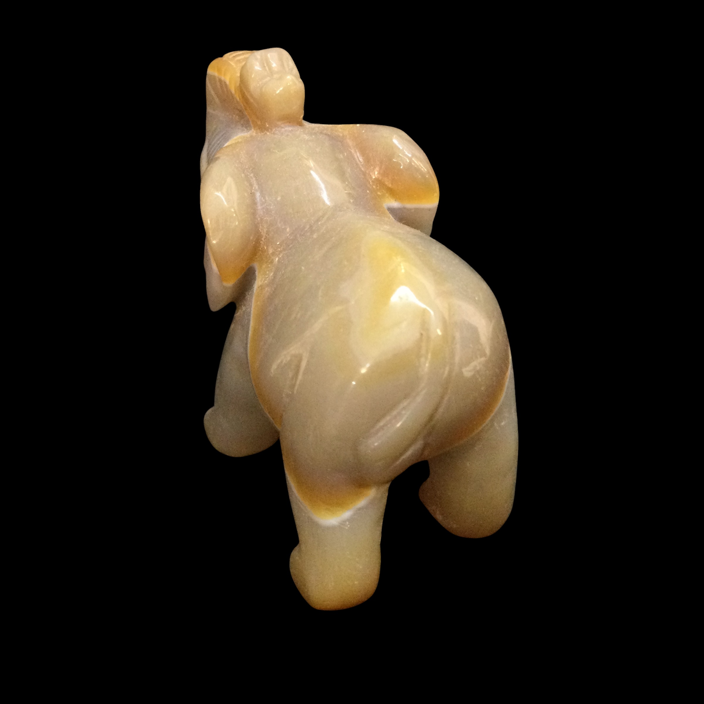 Elefante Agata - immagine 5