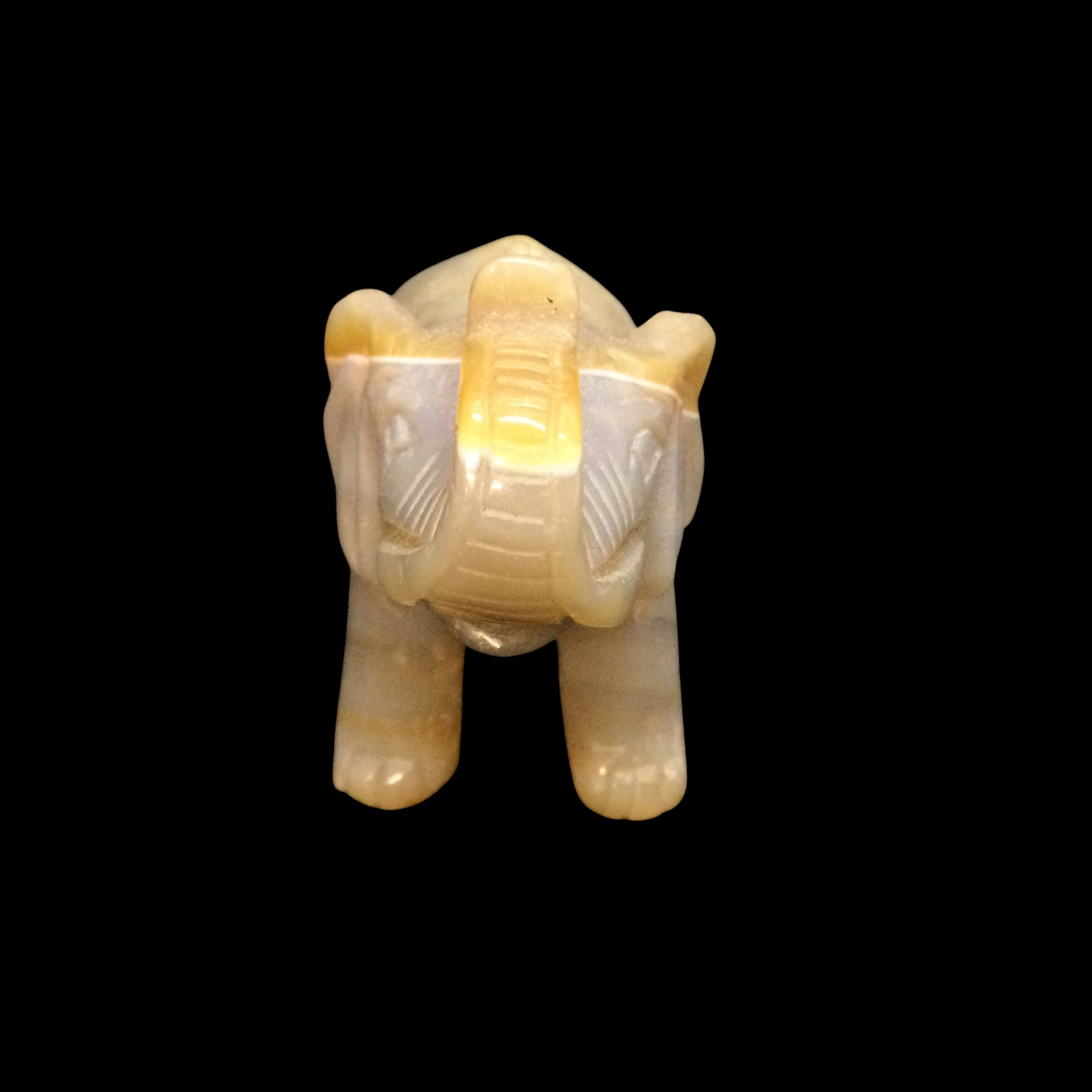 Elefante Agata - immagine 3
