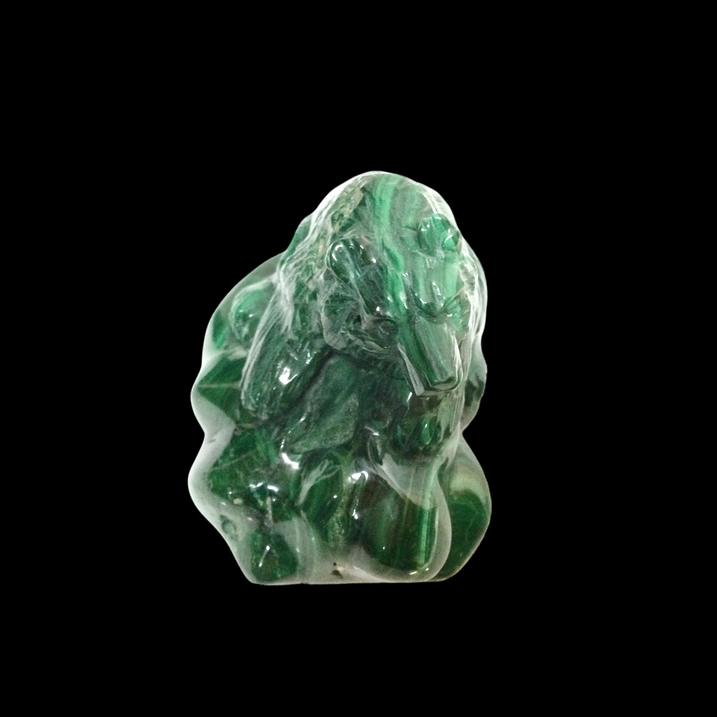 Orso Malachite - immagine 7