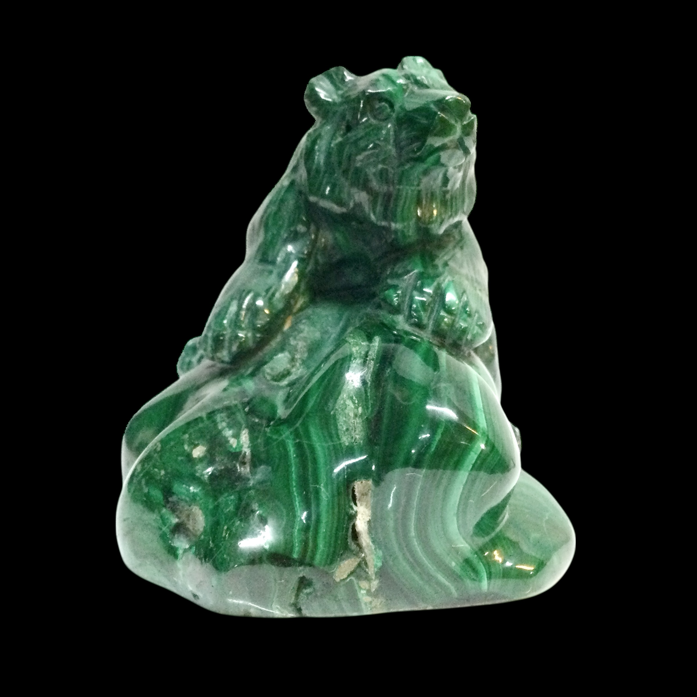 Orso Malachite - immagine 4