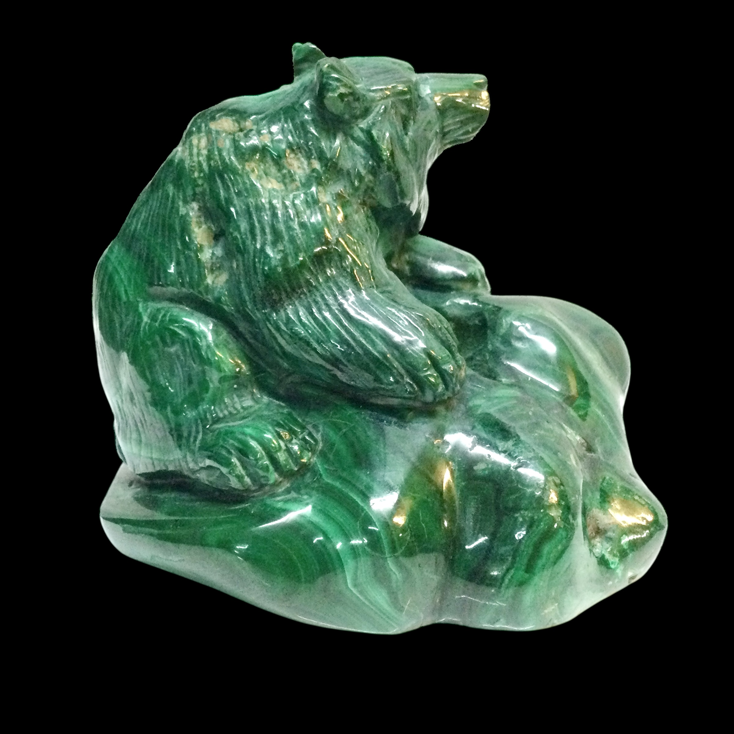 Orso Malachite - immagine 5