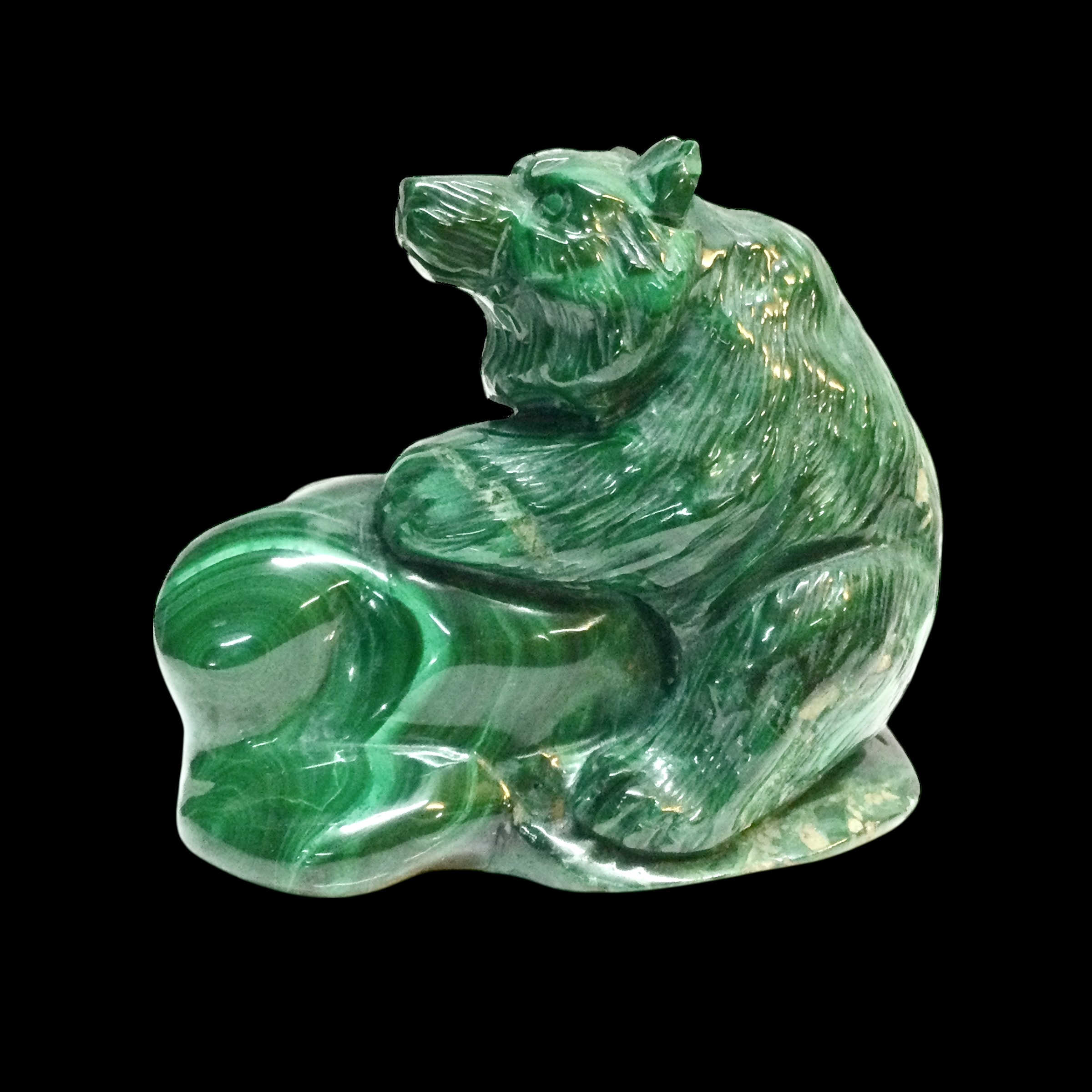 Orso Malachite - immagine 3