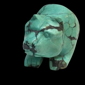 Orso Turchese
