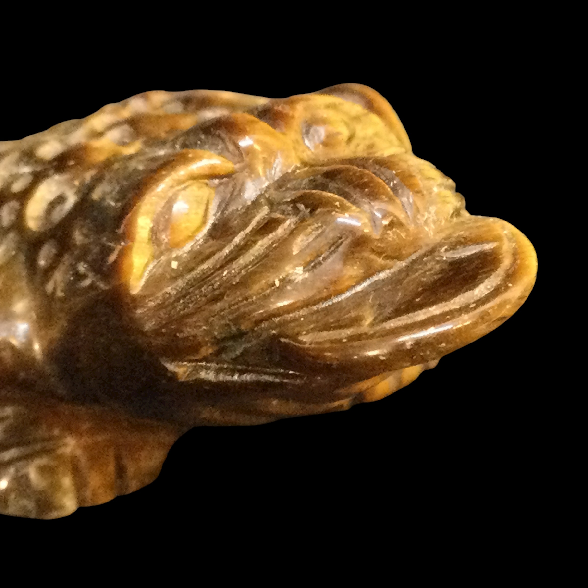 Rospo mitologico Occhio di tigre - immagine 10