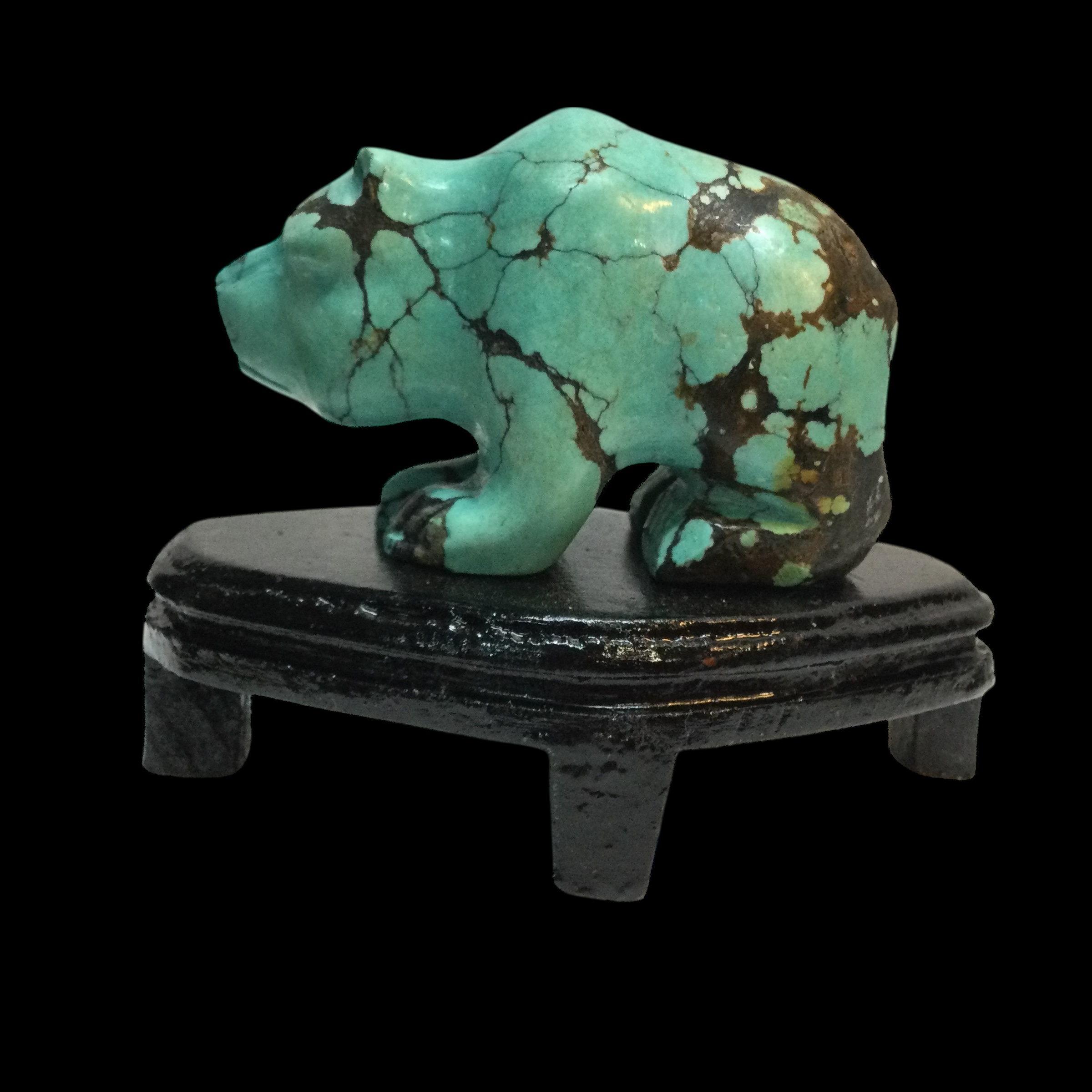 Orso Turchese - immagine 3