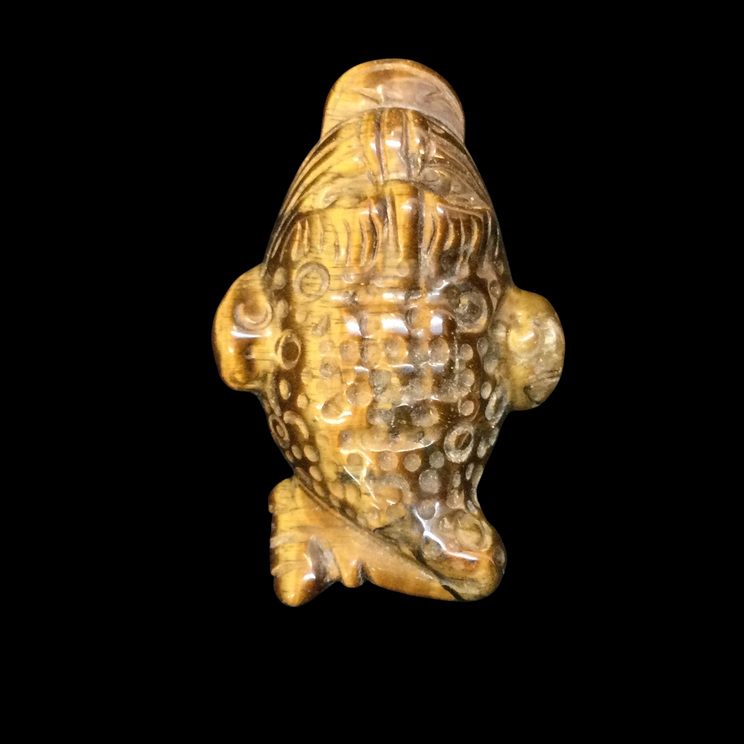 Rospo mitologico Occhio di tigre - immagine 9