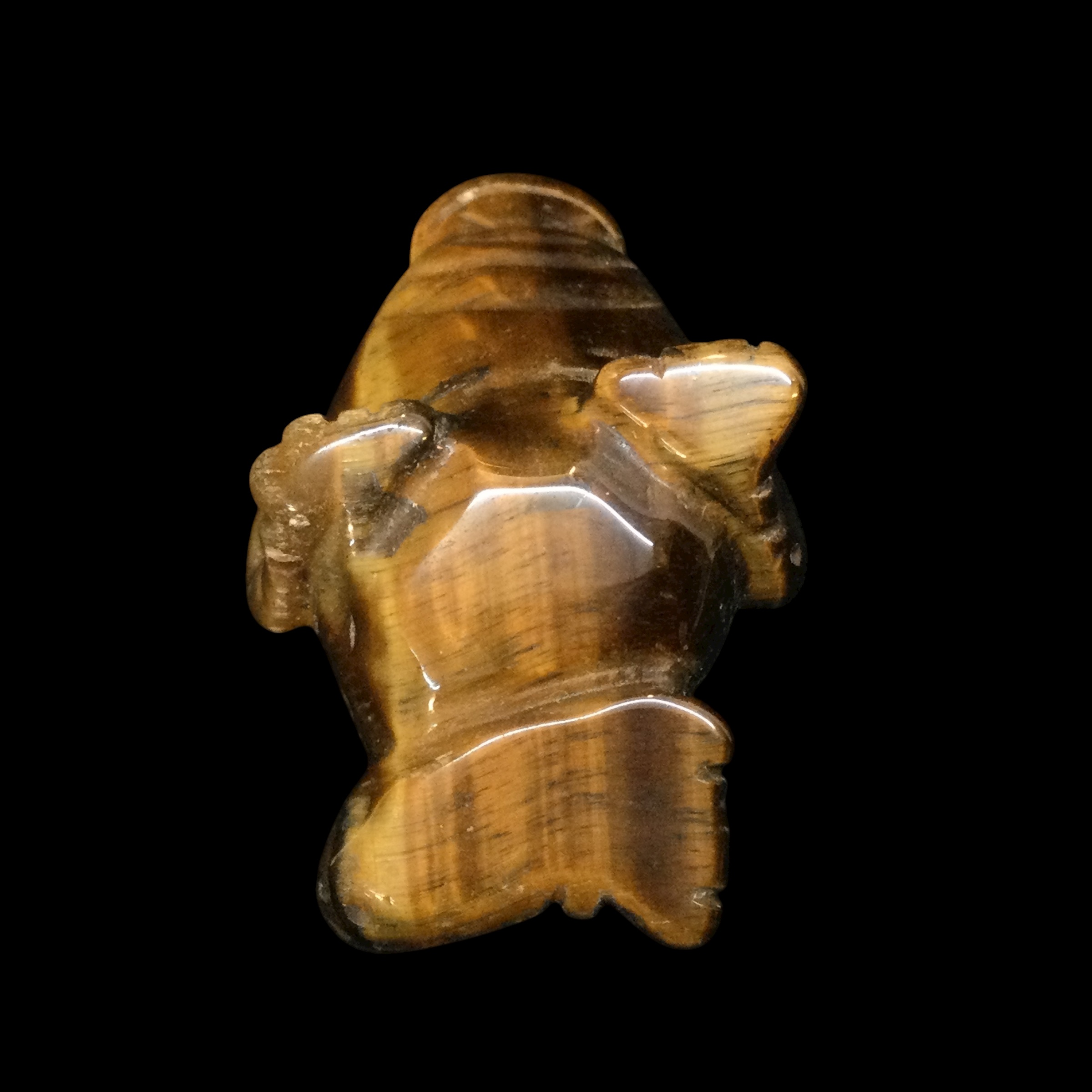 Rospo mitologico Occhio di tigre - immagine 8