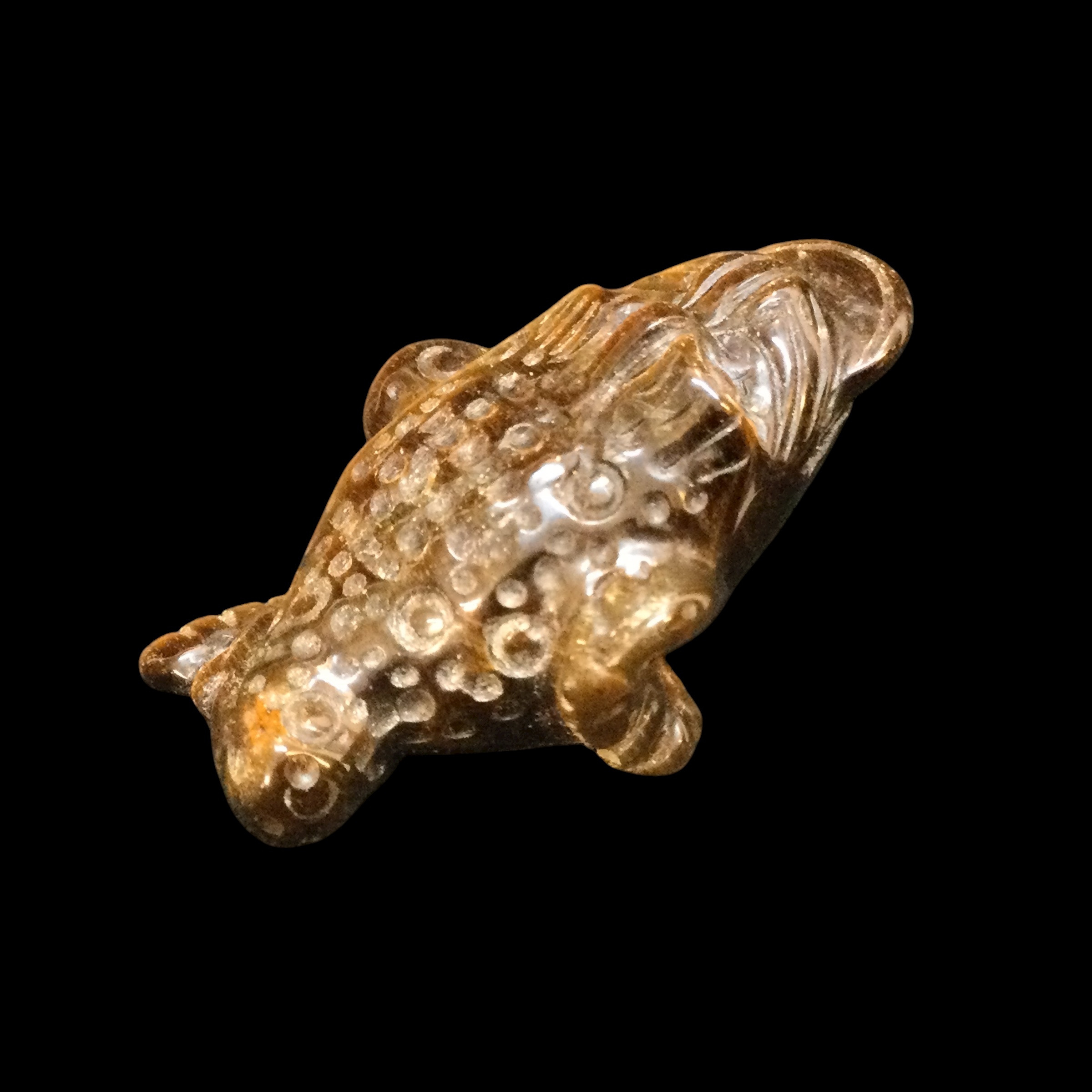 Rospo mitologico Occhio di tigre - immagine 7