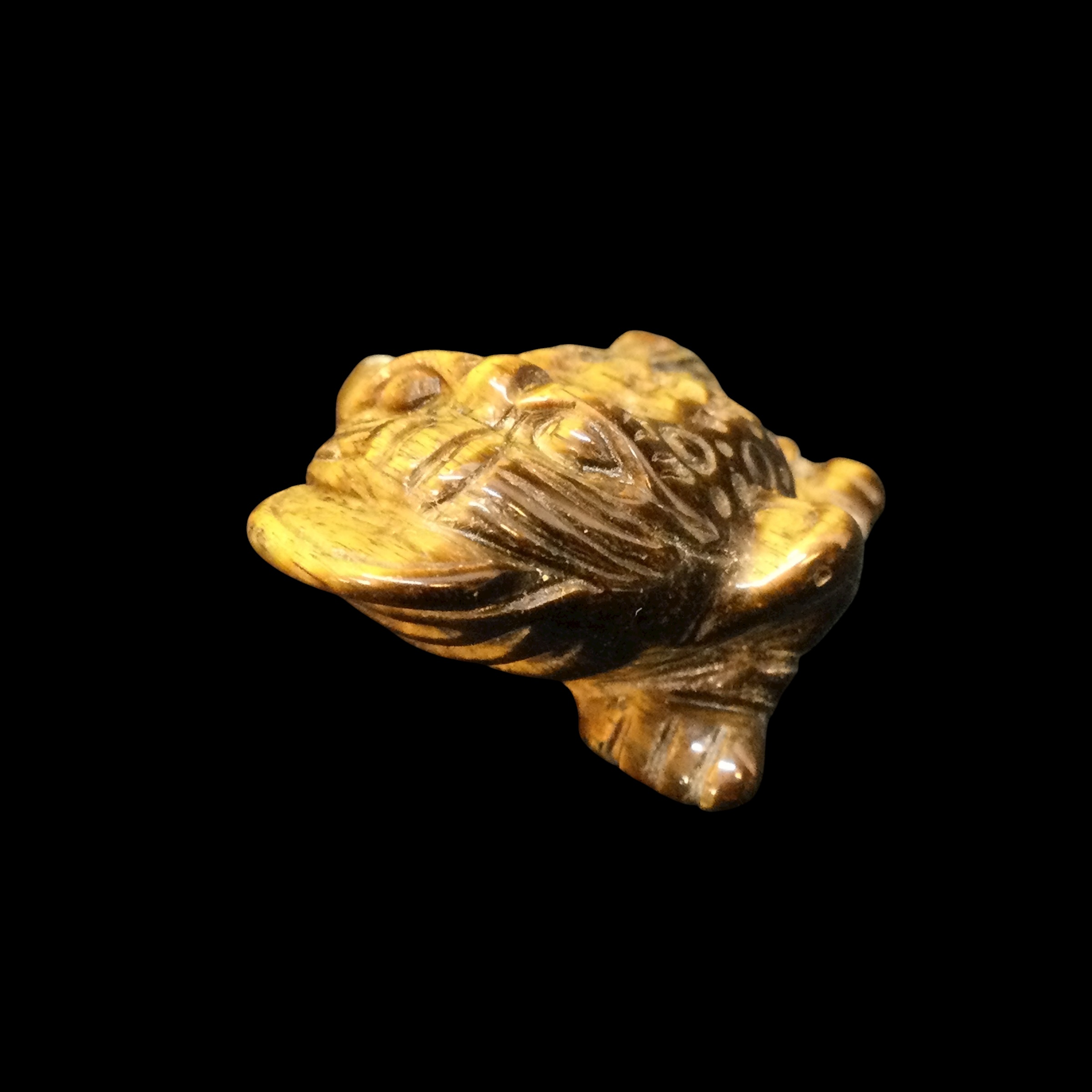 Rospo mitologico Occhio di tigre - immagine 4