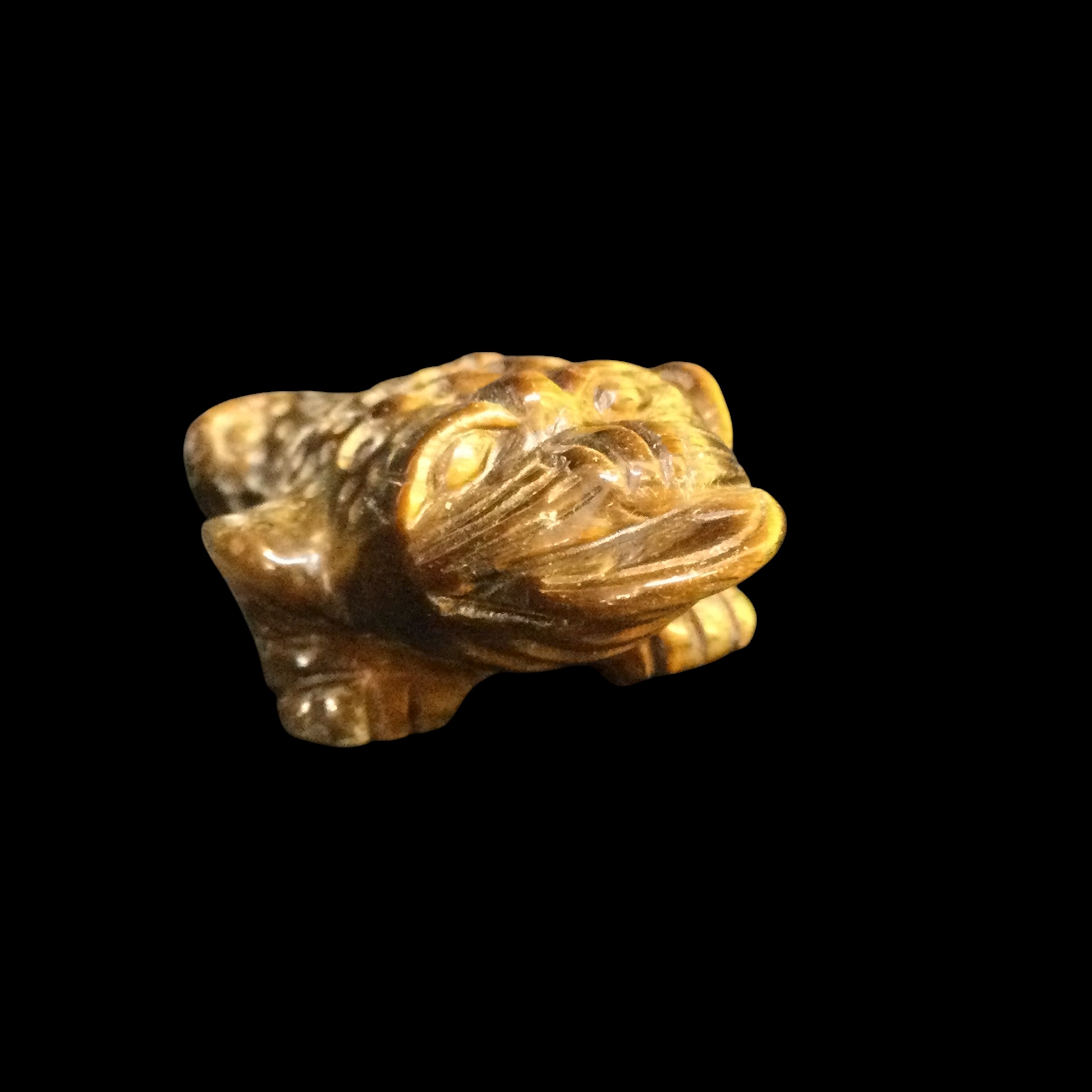 Rospo mitologico Occhio di tigre - immagine 3