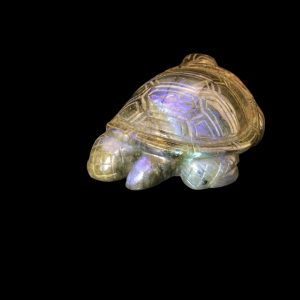 Tartaruga Labradorite