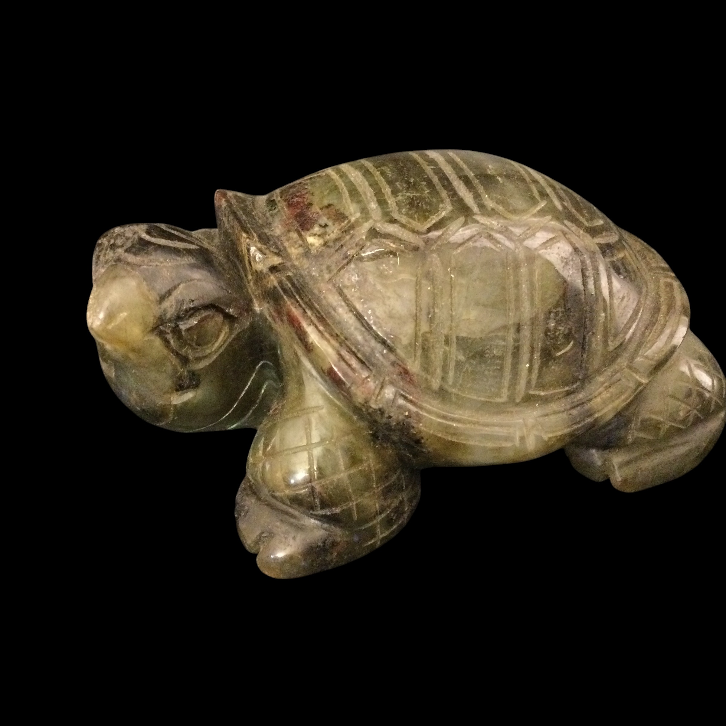 Tartaruga Labradorite - immagine 6