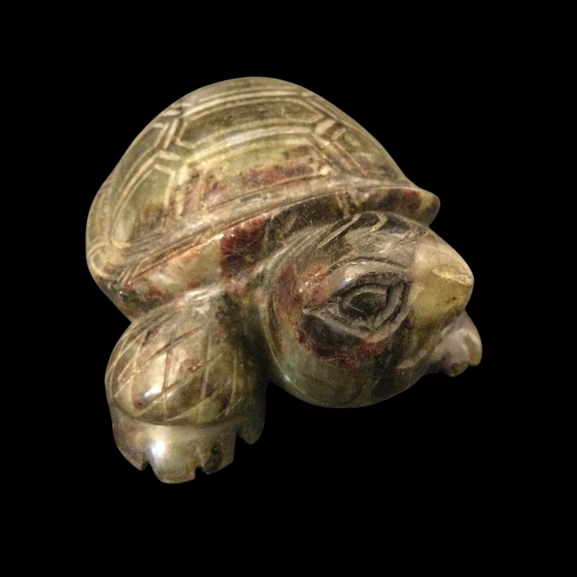Tartaruga Labradorite - immagine 5