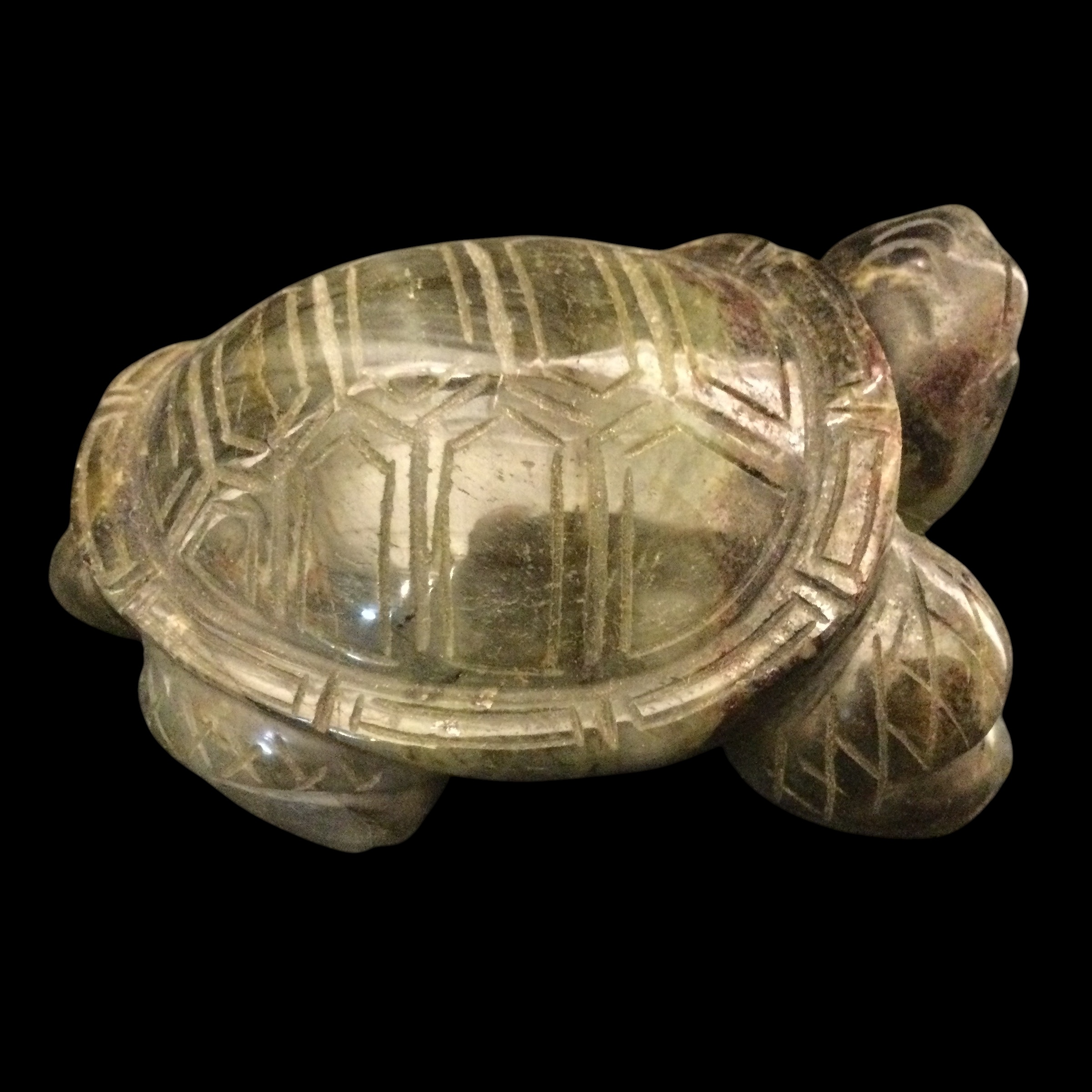 Tartaruga Labradorite - immagine 4
