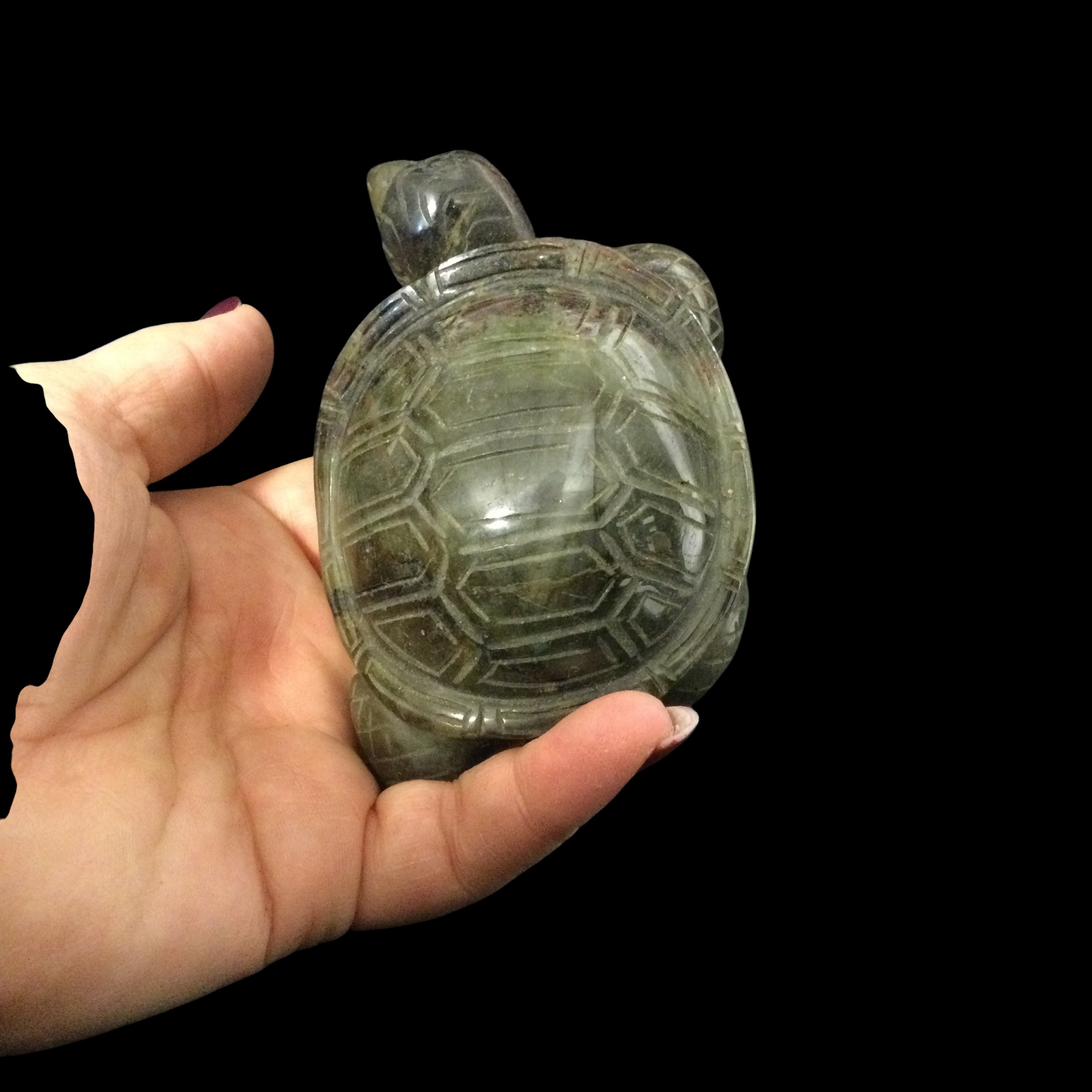 Tartaruga Labradorite - immagine 3