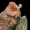 Gufo rodocrosite