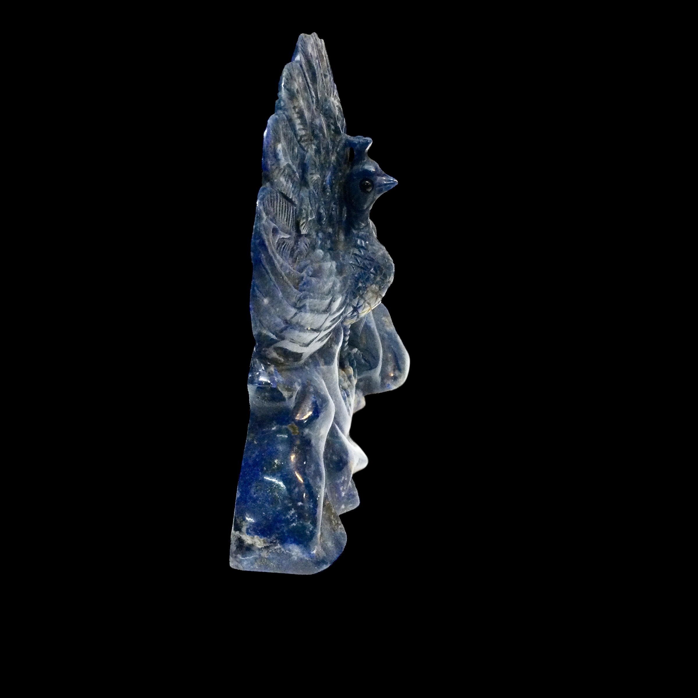 Fenice Lapislazzuli - immagine 4