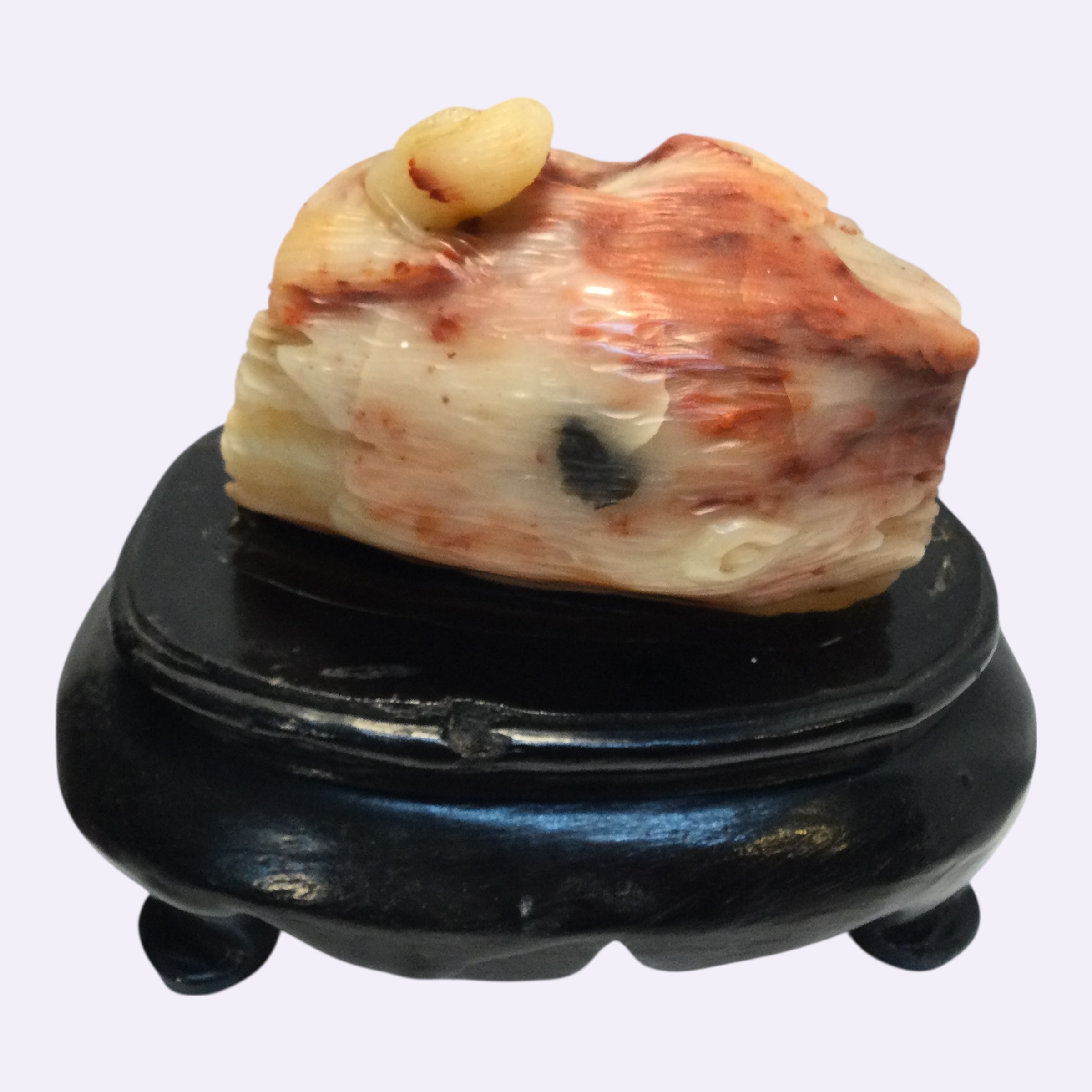 Scultura corniola - immagine 7