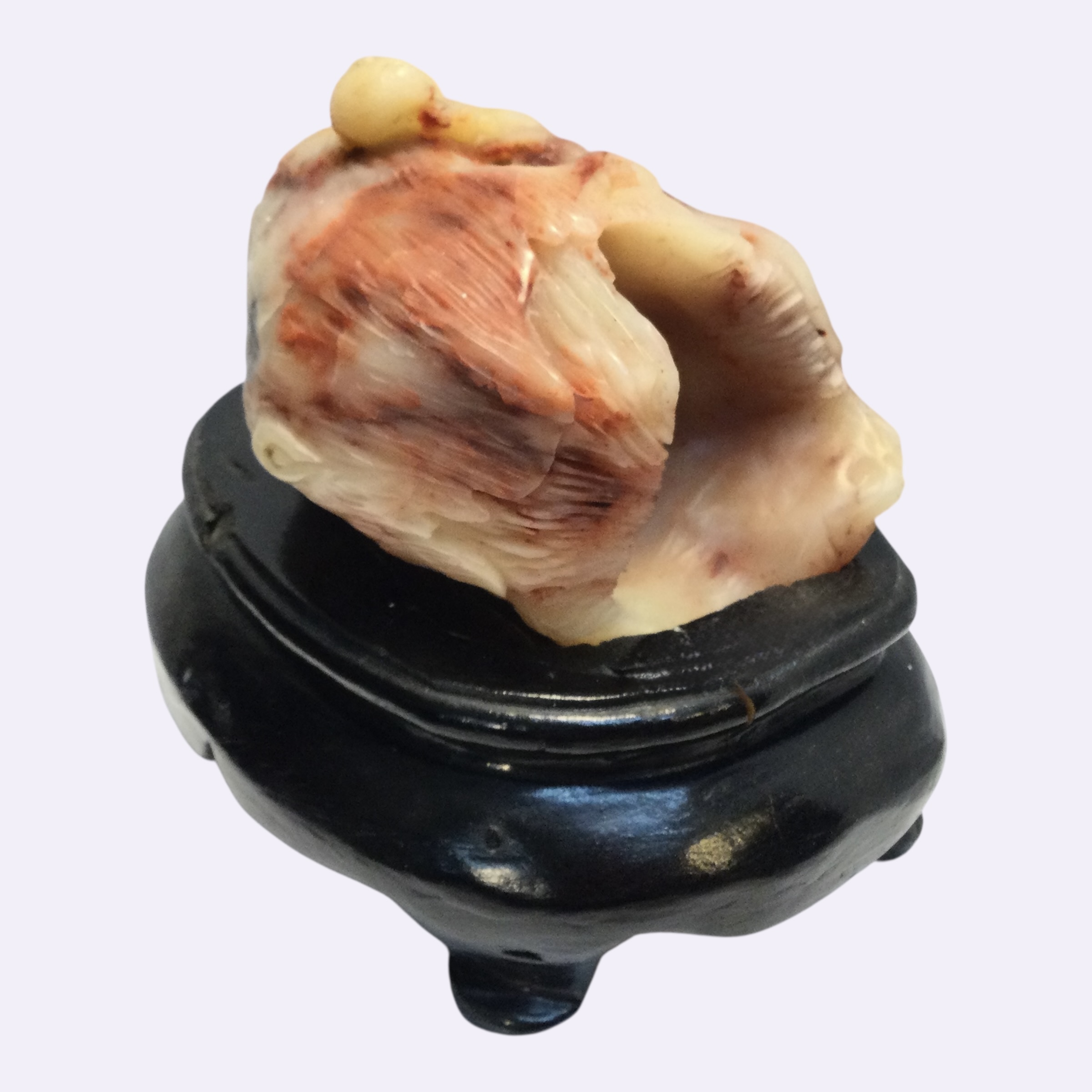 Scultura corniola - immagine 6