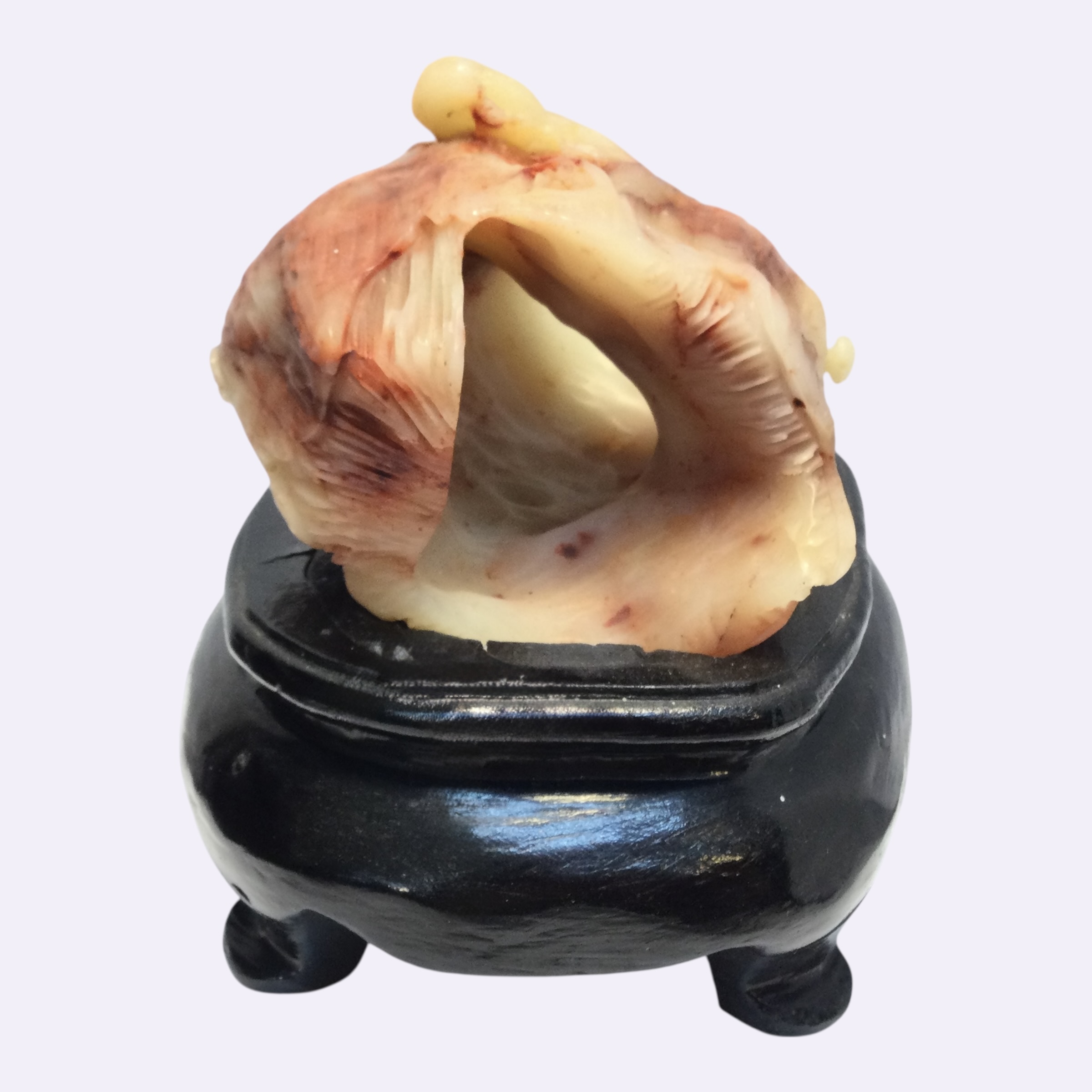 Scultura corniola - immagine 5