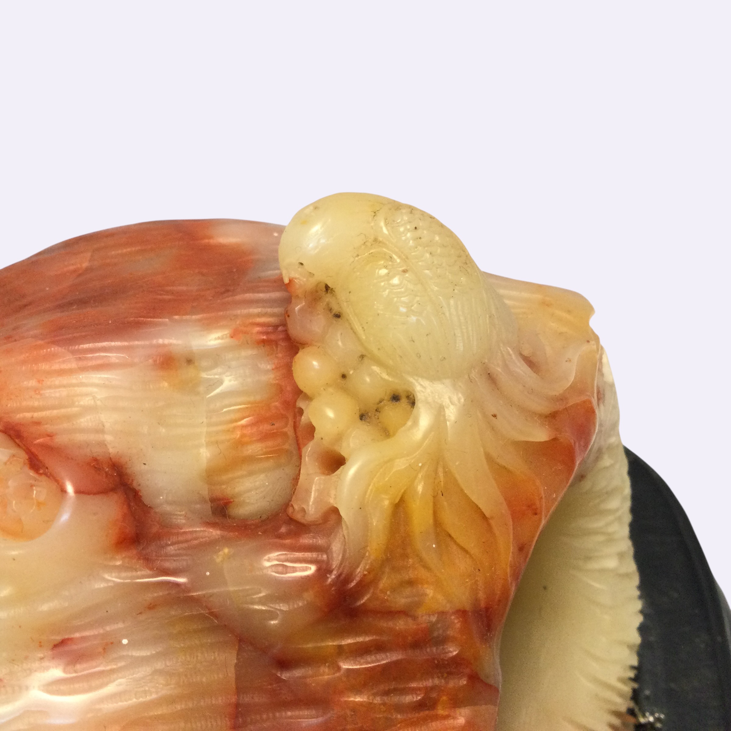 Scultura corniola - immagine 10