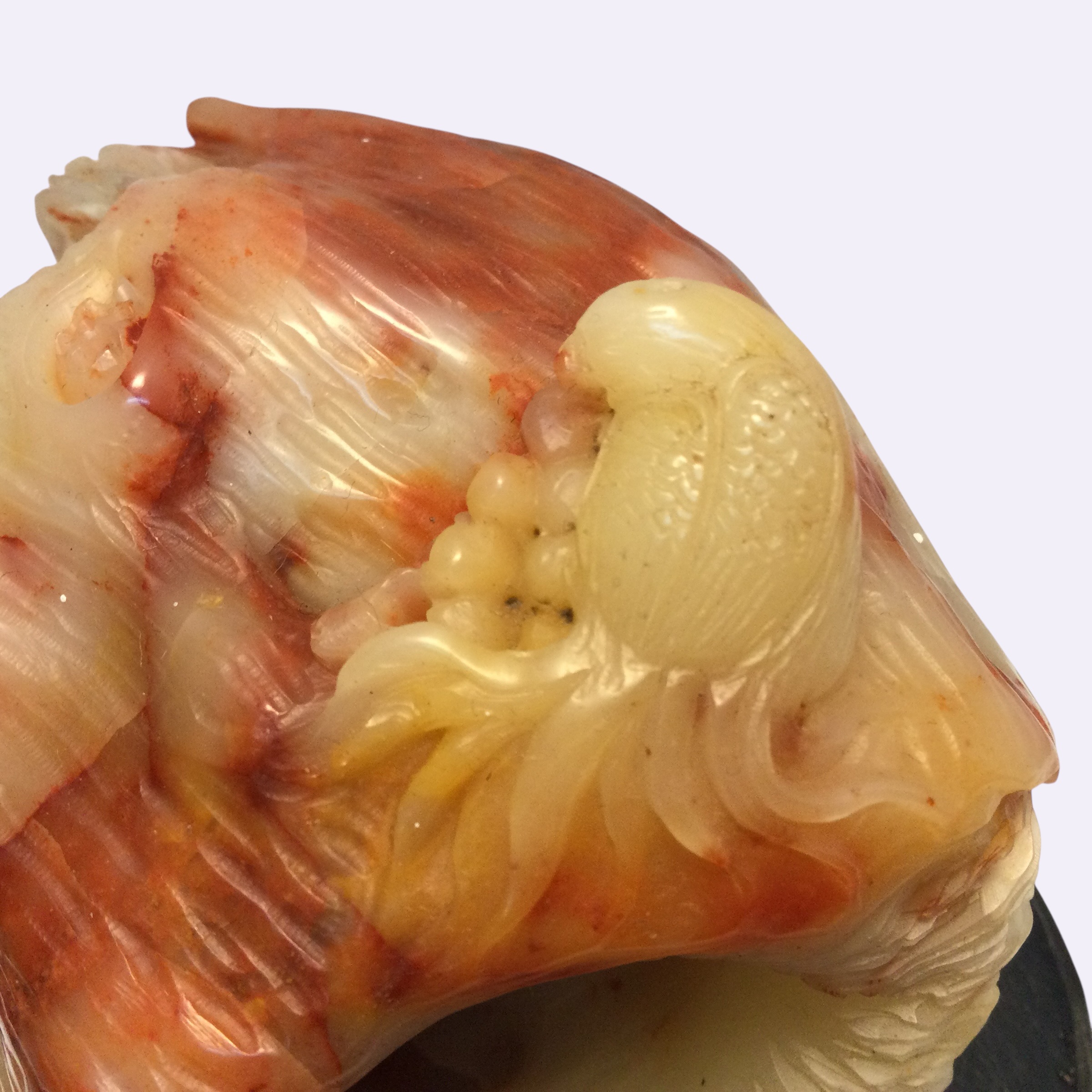 Scultura corniola - immagine 9