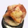 Scultura corniola