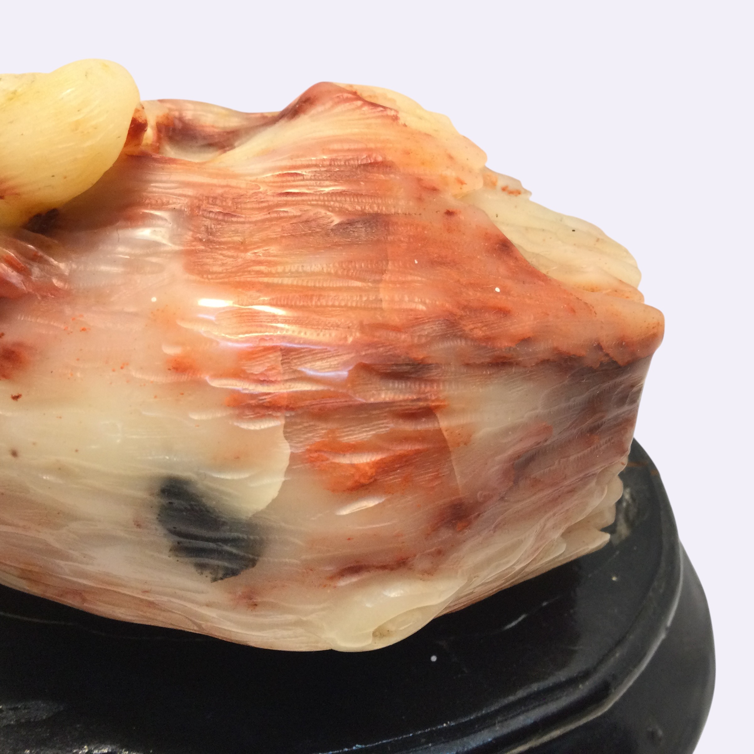 Scultura corniola - immagine 12