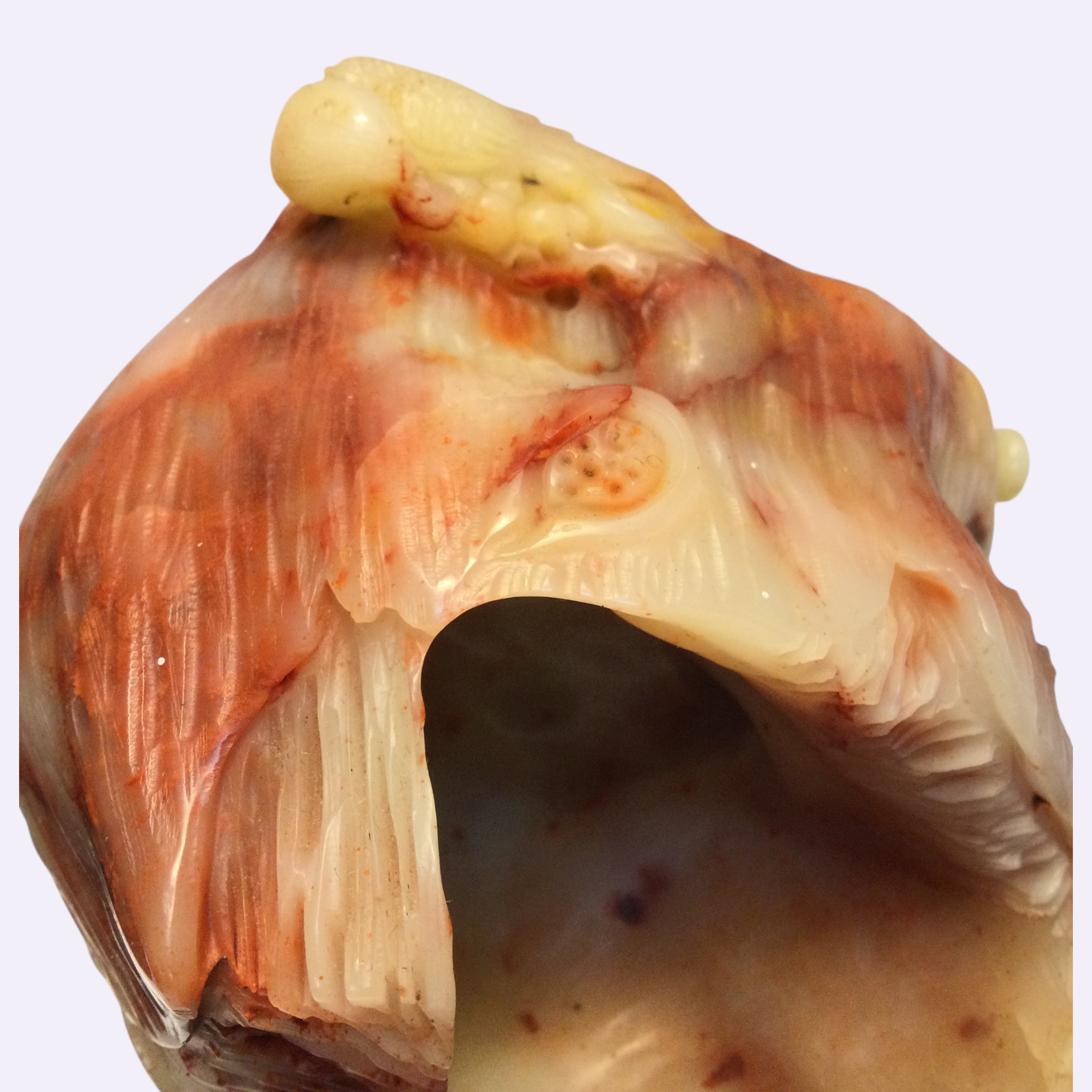 Scultura corniola - immagine 11