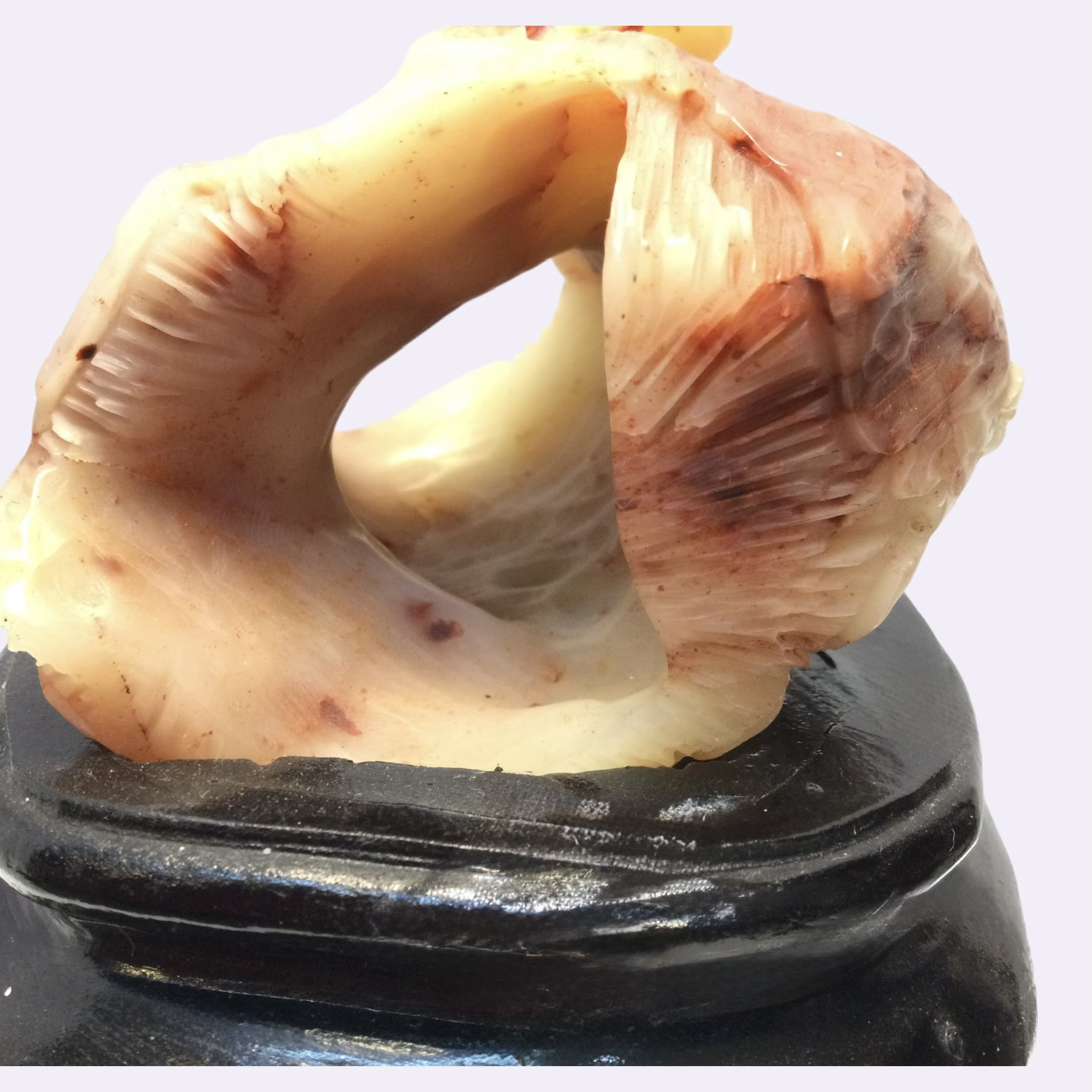 Scultura corniola - immagine 14