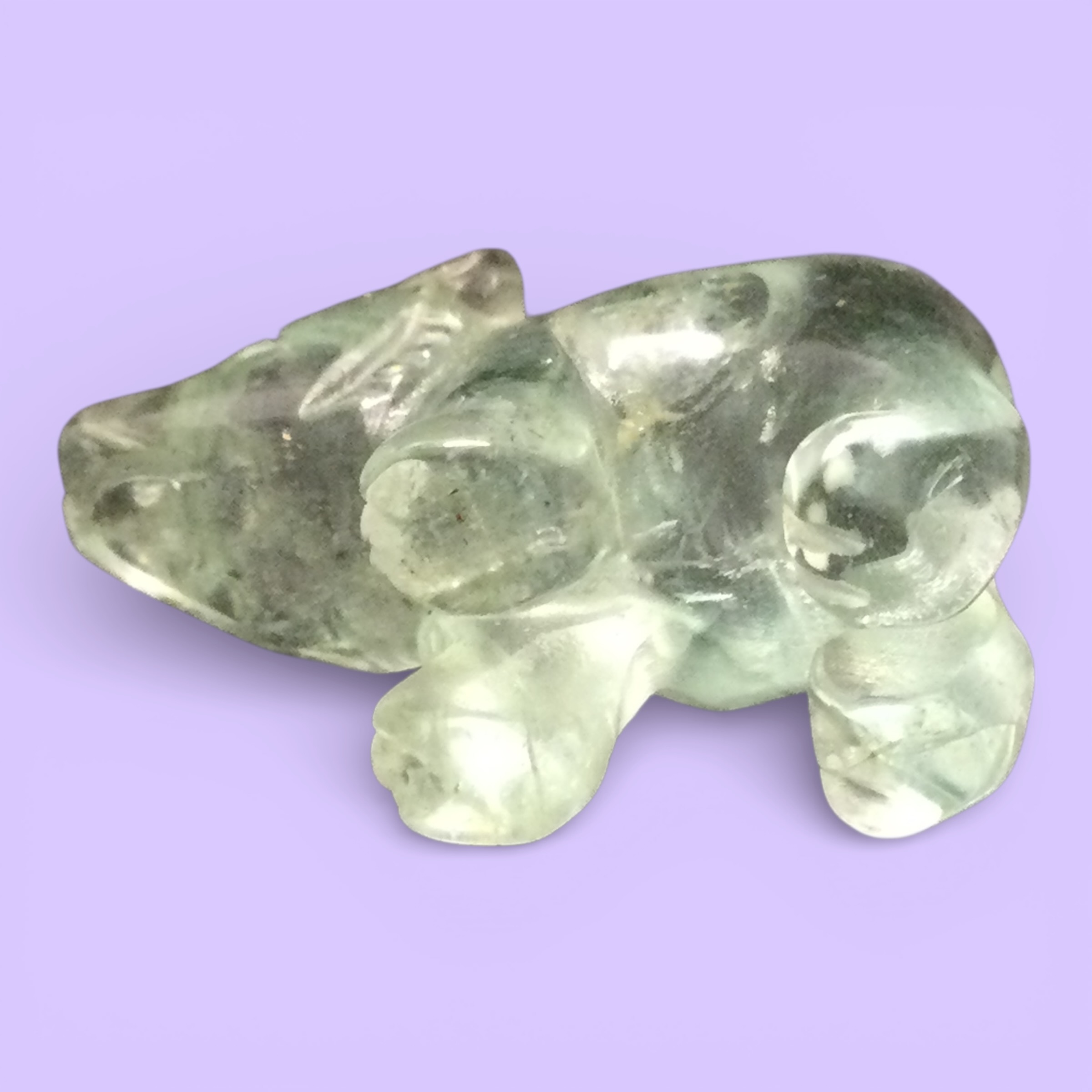 Orso acquamarina - immagine 3